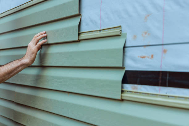 Affordable Siding Repair and Maintenance Services in Royalton, IL